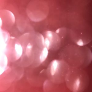 Meet your Posher, Dayanara